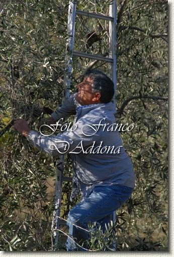 Sei già all'ultima foto